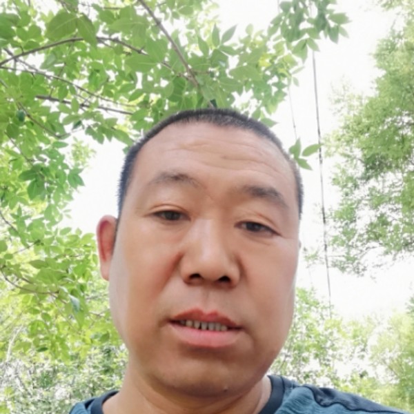 飞鸟笑愤怒的照片