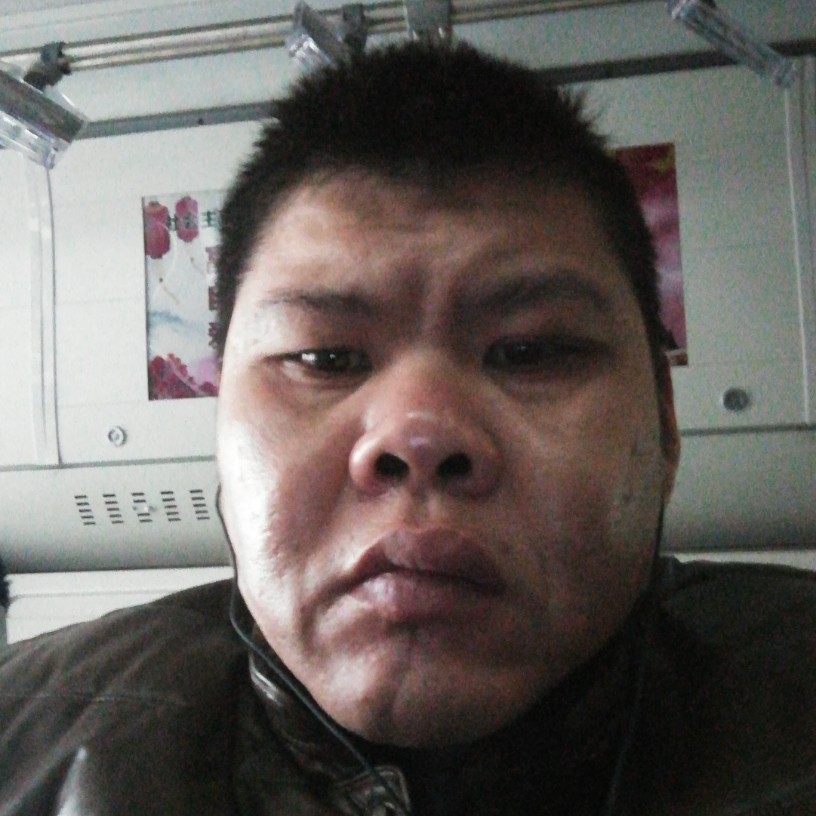 东北的小老虎的照片