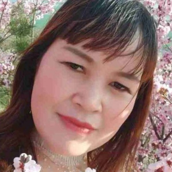 小鸽子说儒雅的照片