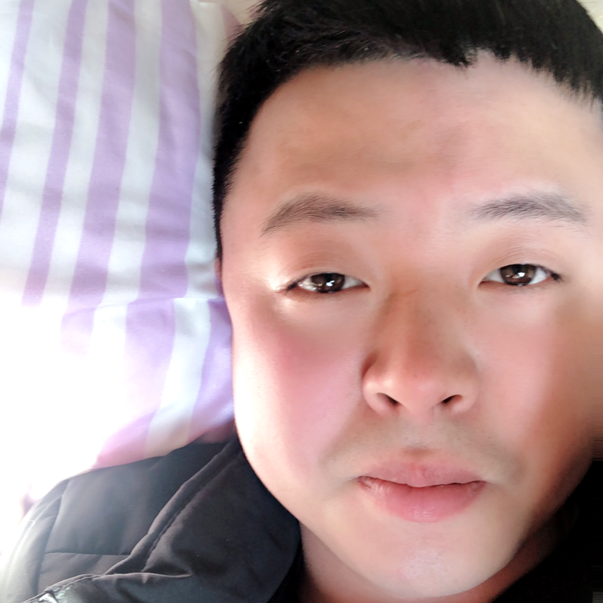 笑点低的月饼的照片