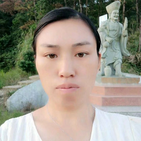 热心請含羞草的照片