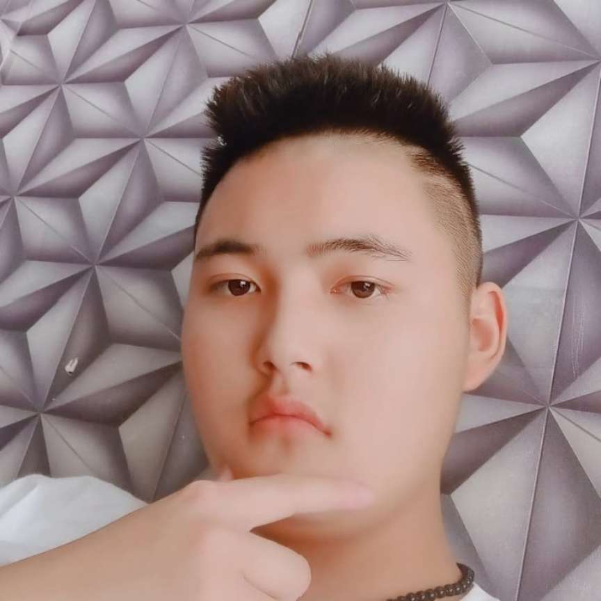 曾经漫步猎豹的照片