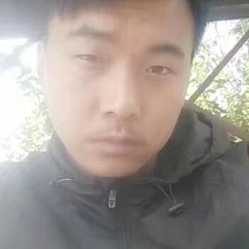 曲奇文艺的照片