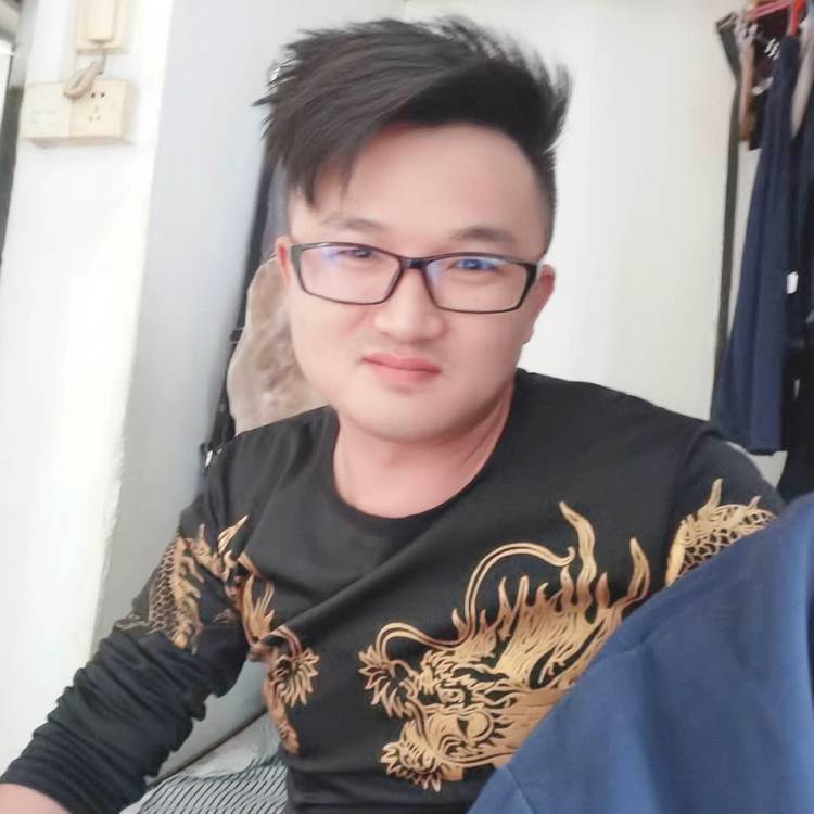 孤独的狼的照片