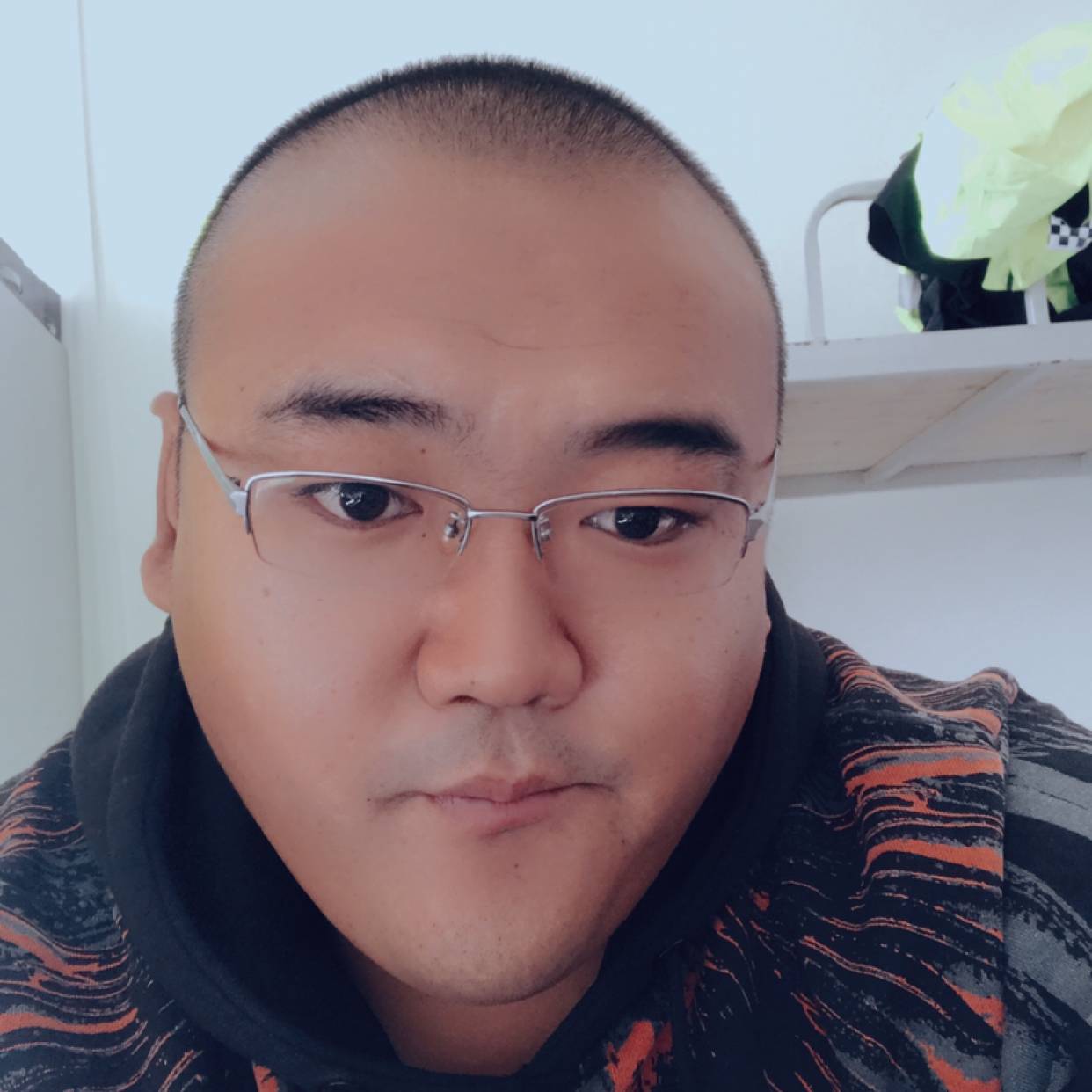 二八大铁驴的照片