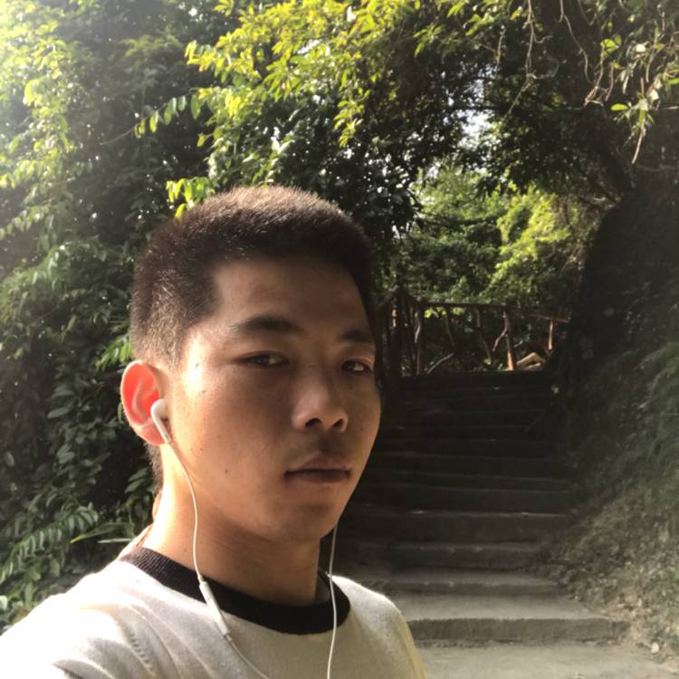 芝麻爱恋明媚的照片