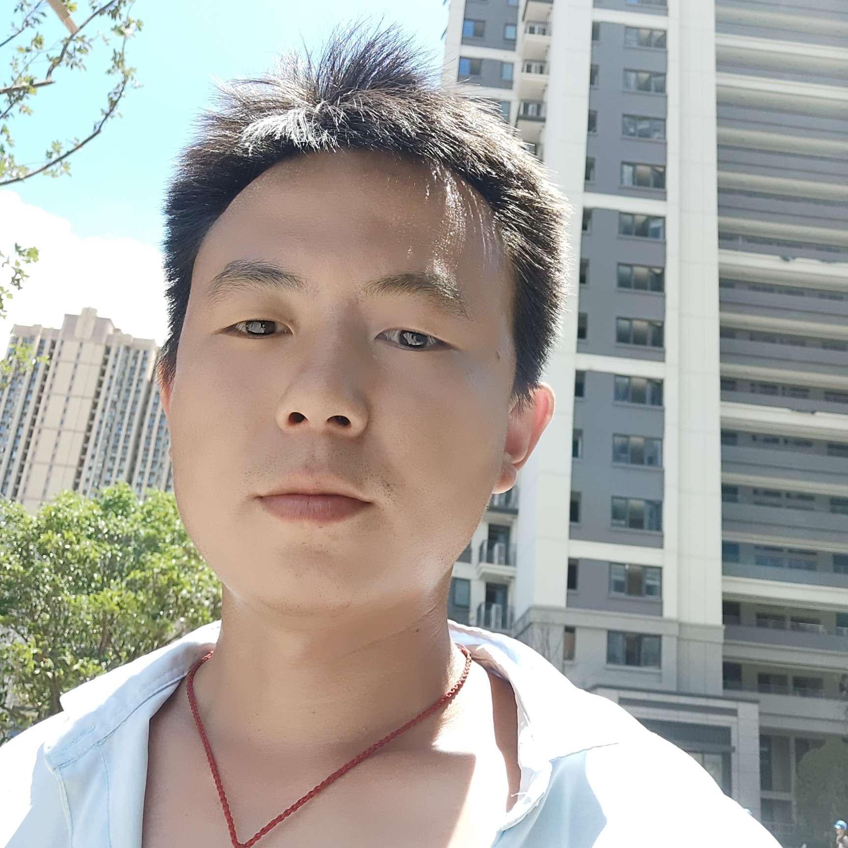 落拓苦恋流影的照片