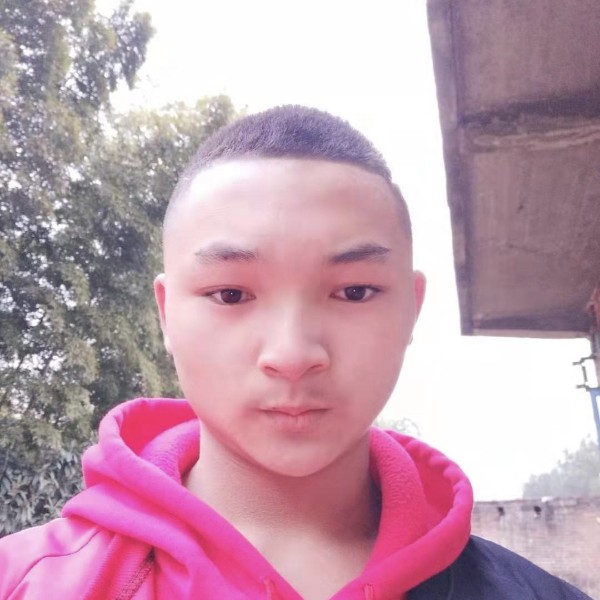想谈个恋爱找专宠的照片