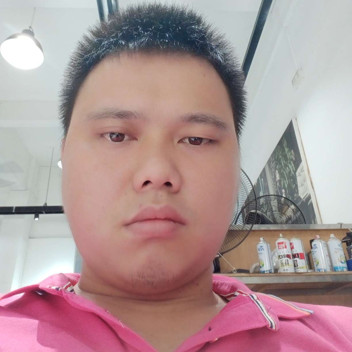 曾经爱恋泥猴桃的照片