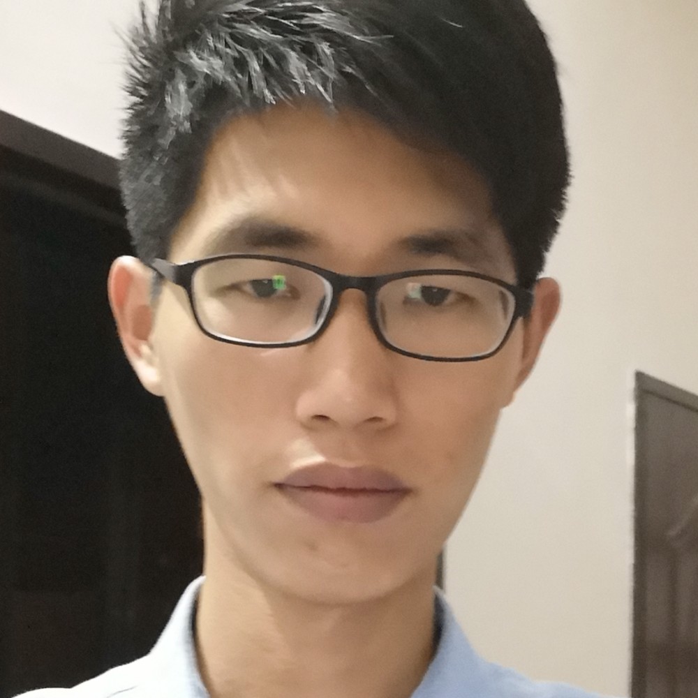 受伤小马的照片