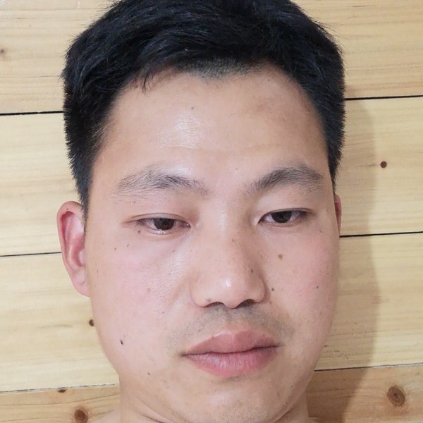 优秀说枫叶的照片