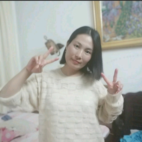 悲伤的燕子的照片