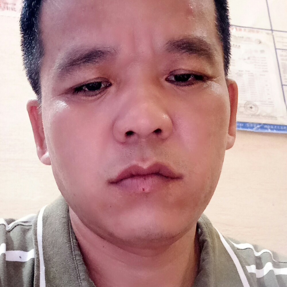 小天鹅的阳光的照片
