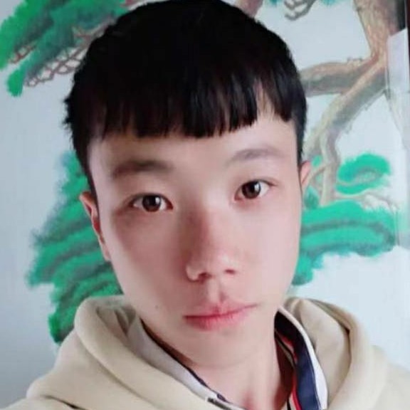 俏皮说鸵鸟的照片