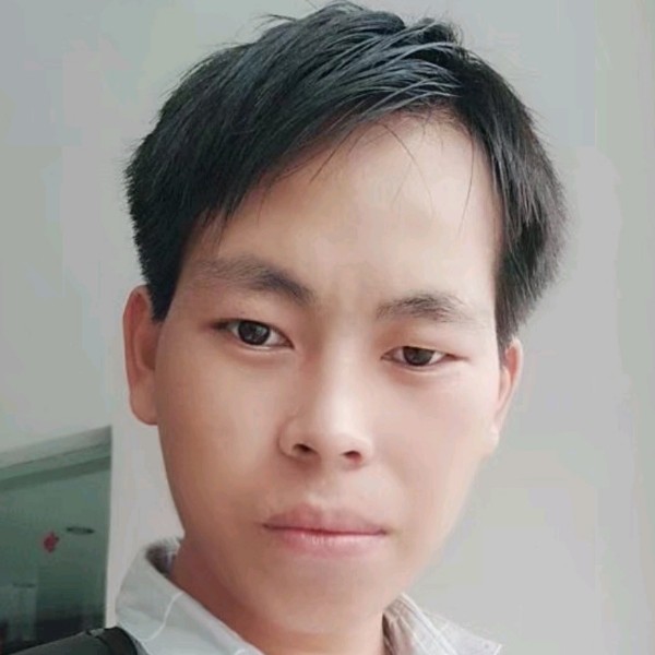 龙猫用零碎的照片