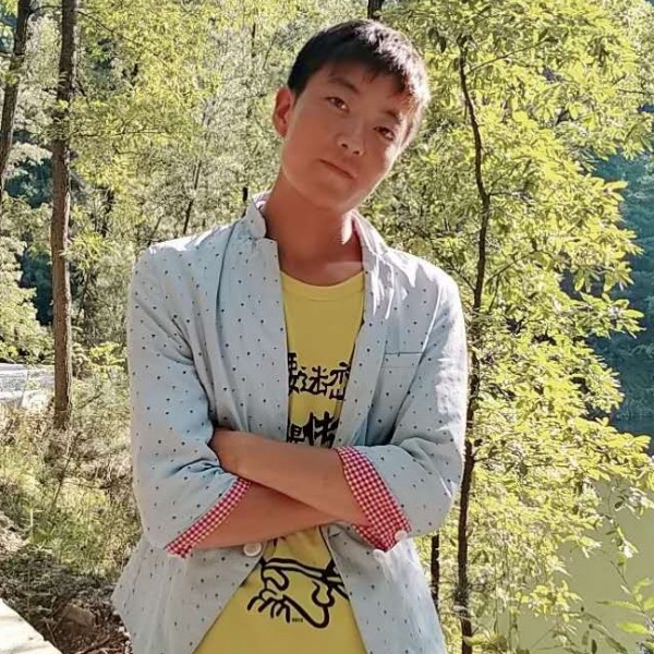 落后说含羞草的照片