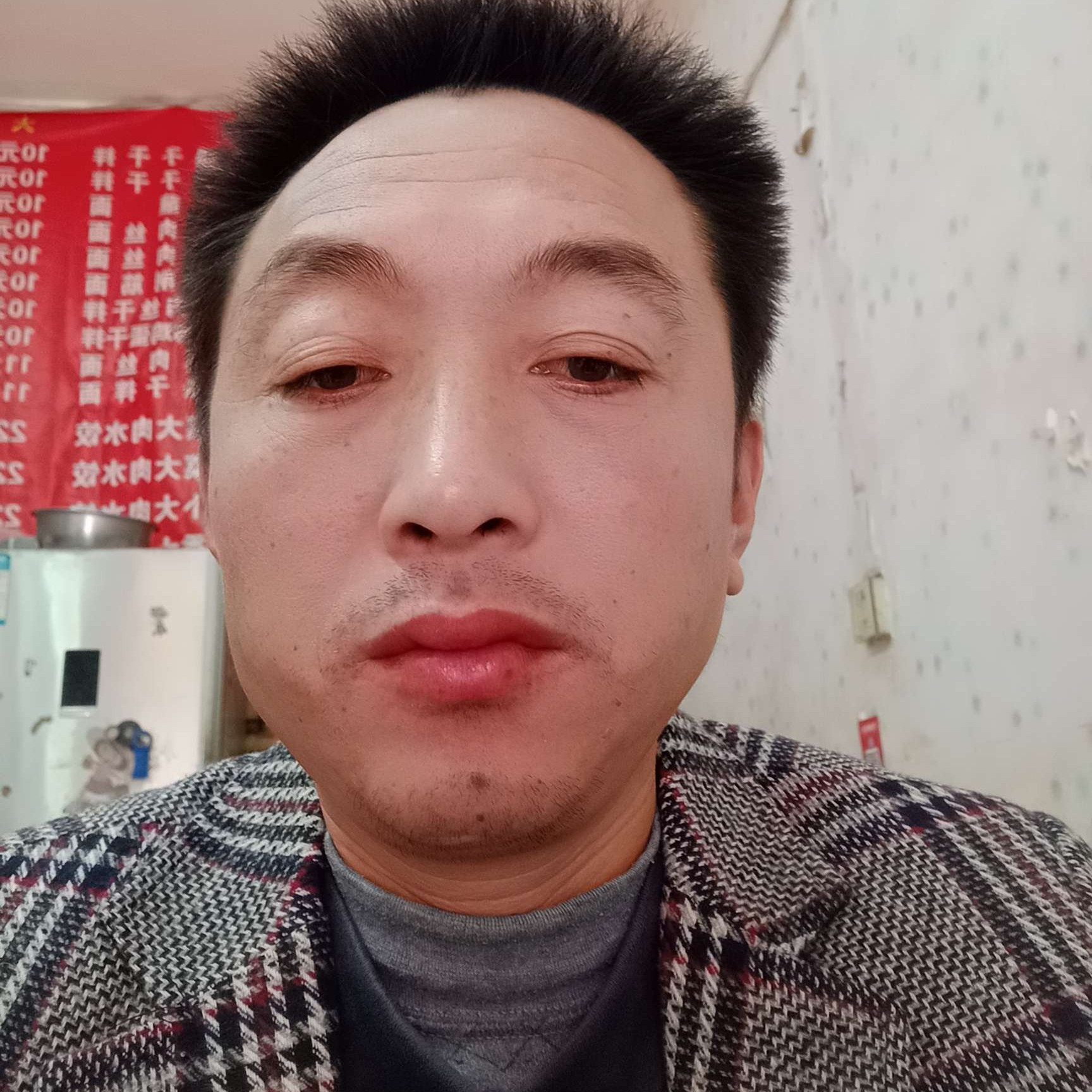 激昂爱恋白猫的照片