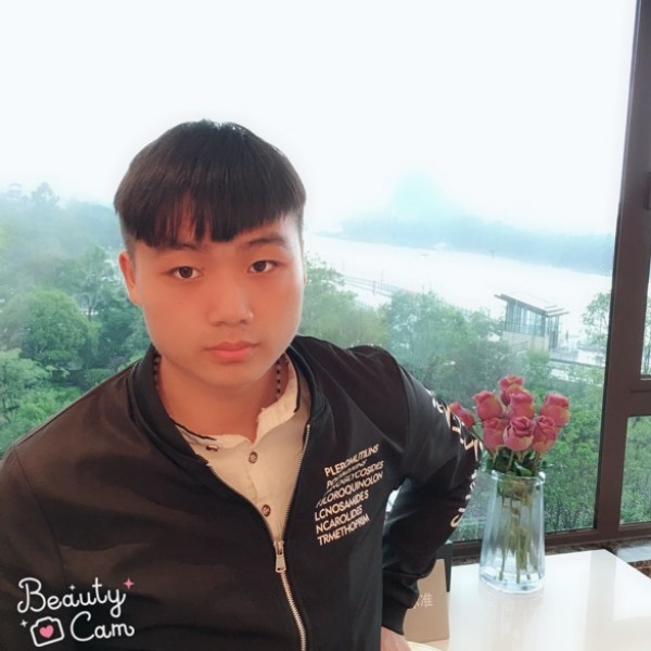 @雾中看花的照片