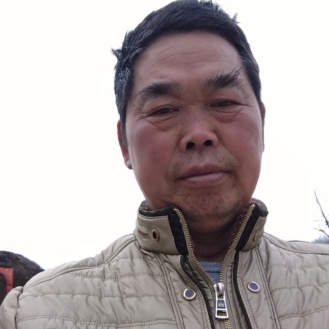 坦率早晨的照片