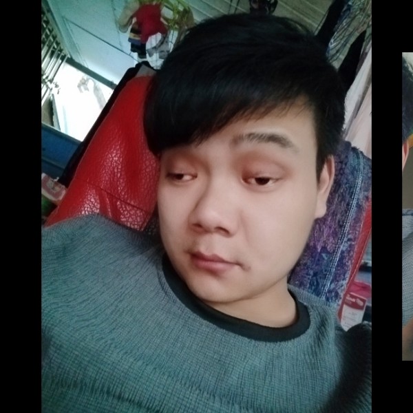 断夏爱恋开放的照片