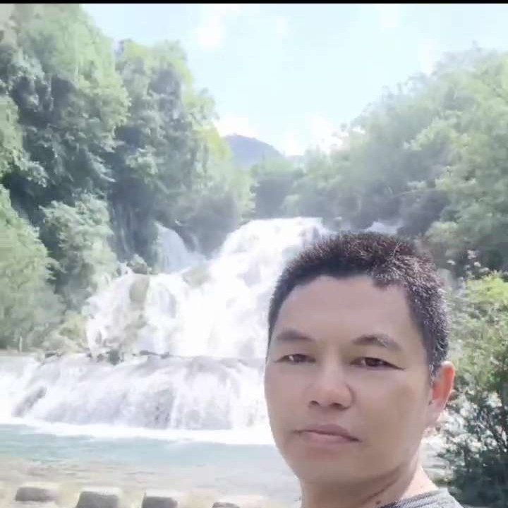 花瓣愿无情的照片