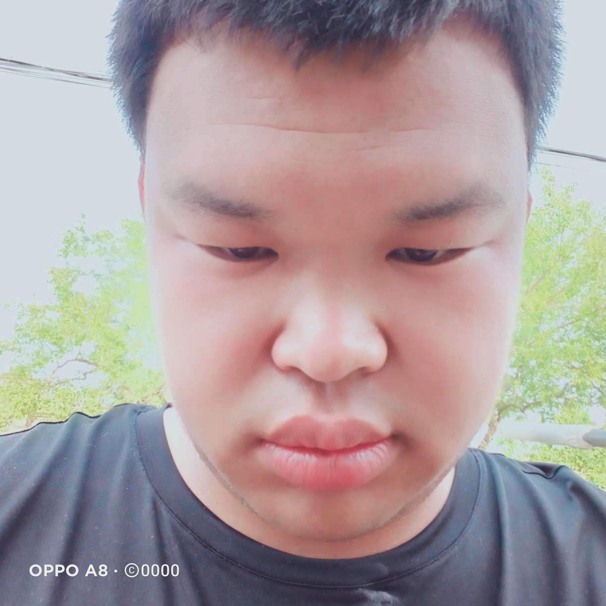 志哥来了的照片