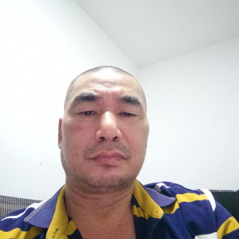孤单的心声的照片