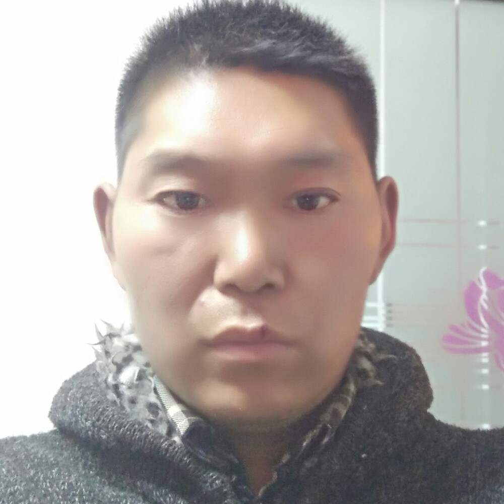 豁达的小草的照片