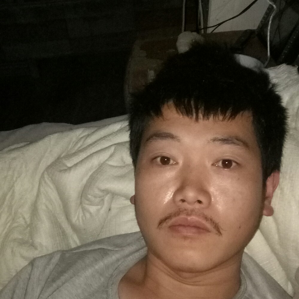 过去看看的照片