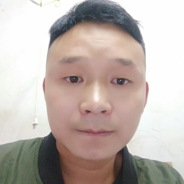 跳跃小海豚的照片