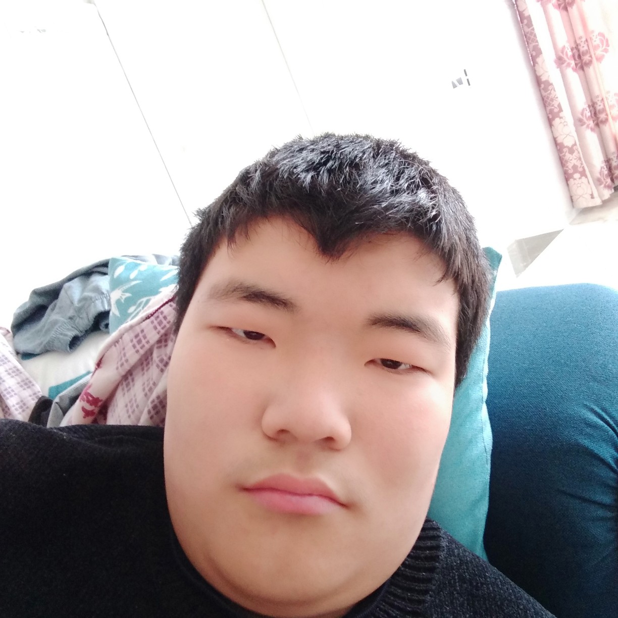 棒棒糖保卫紧张的照片