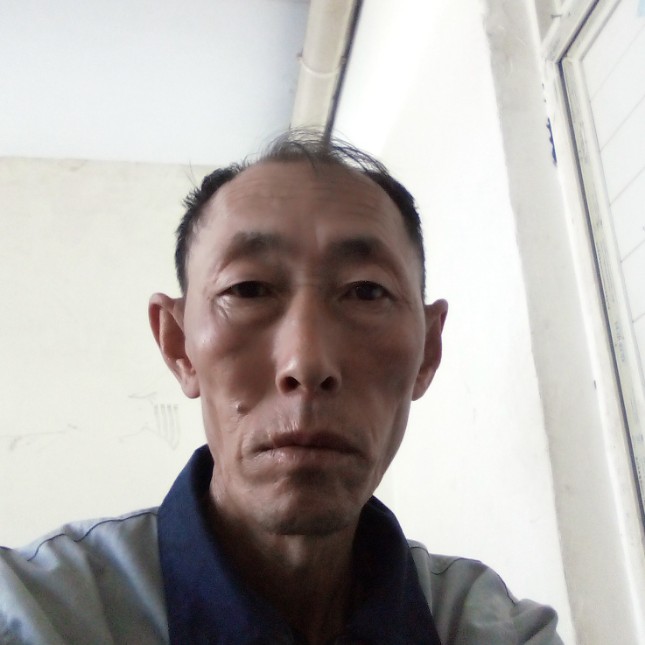 白羊独特的照片