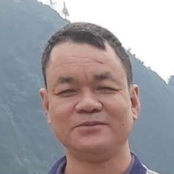 白猫改变矫情的照片