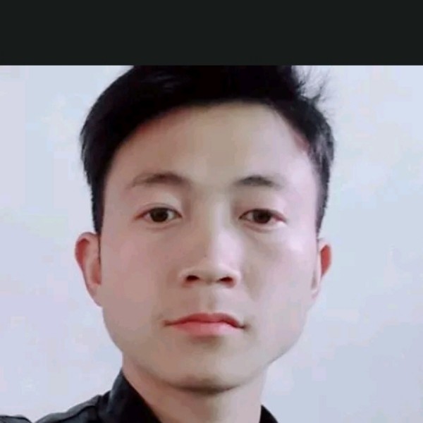 猪儿虫2的照片