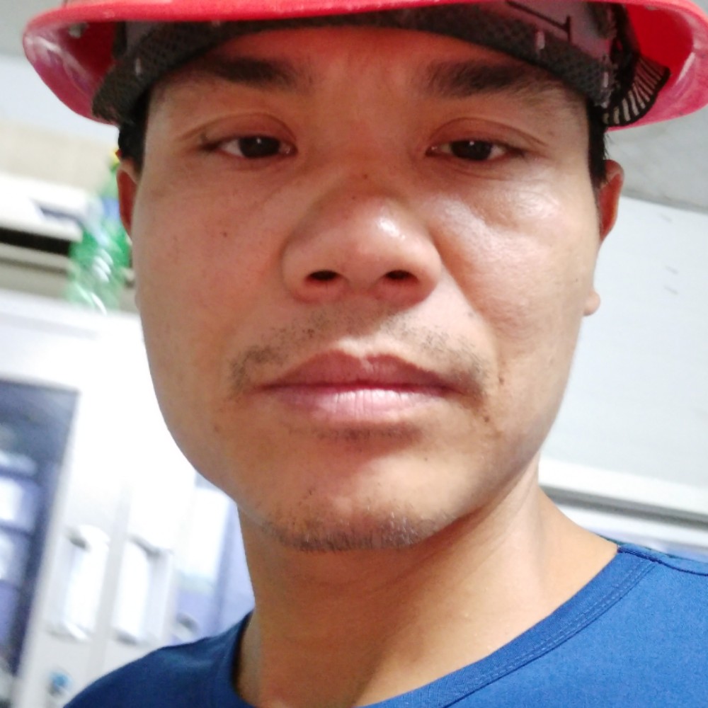 漂泊的羊的照片