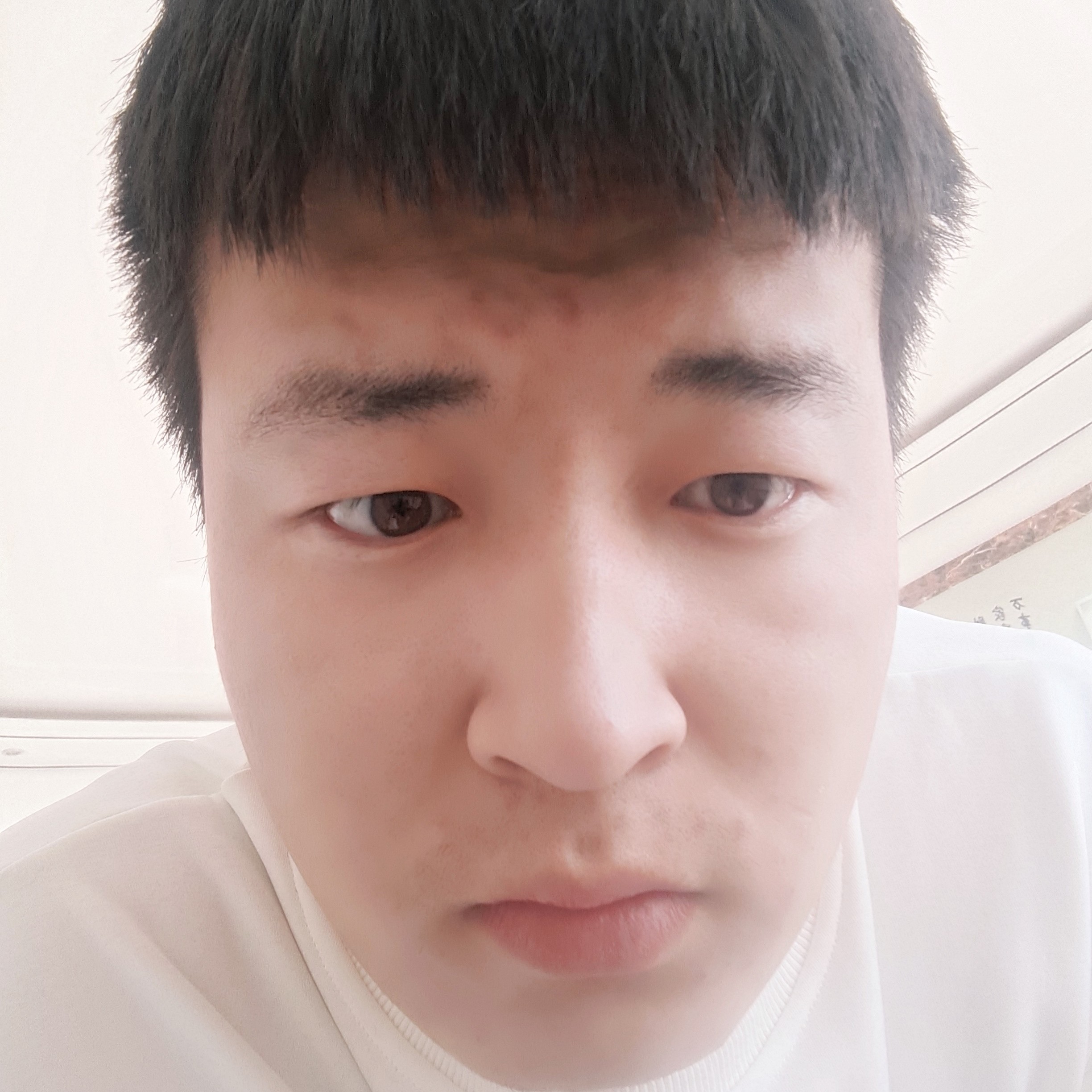 画笔打怡然的照片