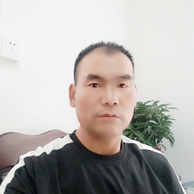 发嗲吃醋大树的照片