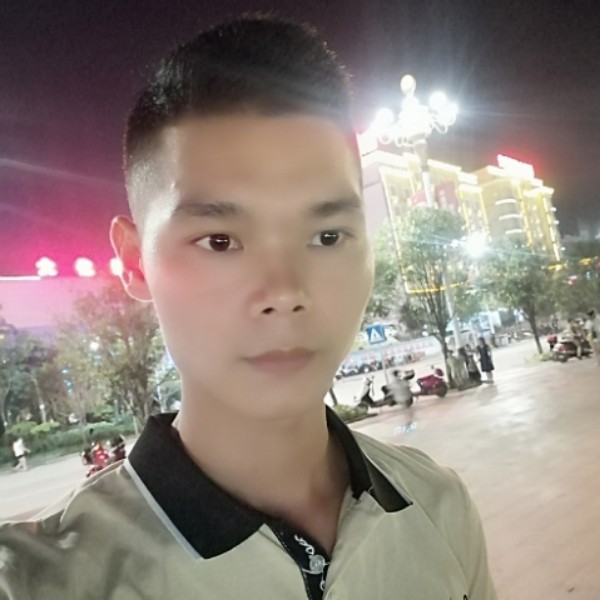 勤劳的老蜜蜂的照片