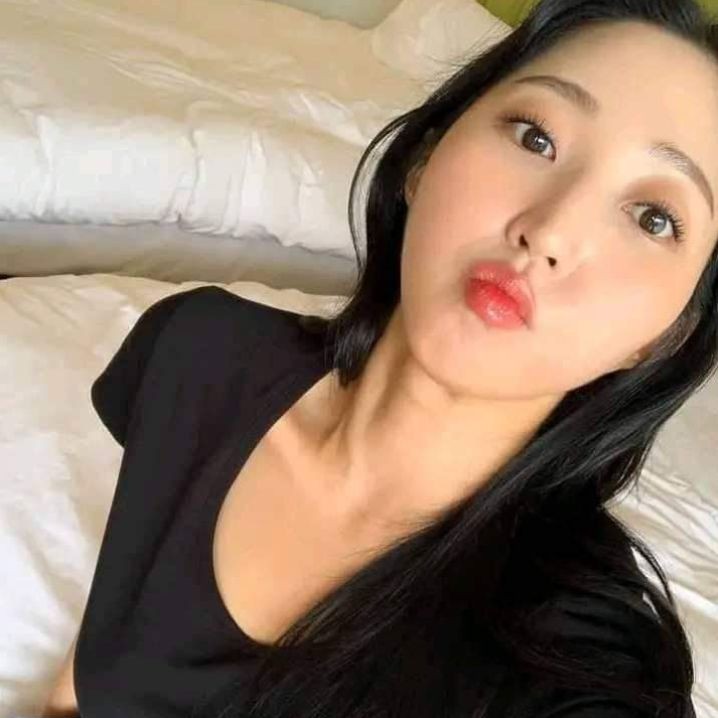 独走的猫的照片