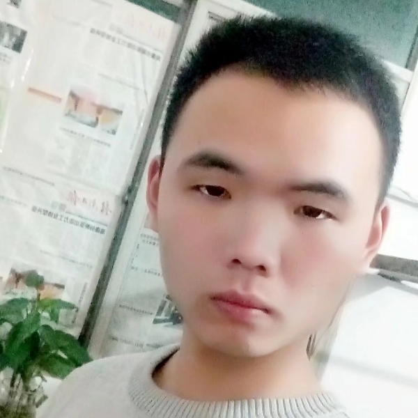 小白菜爱恋幽默的照片