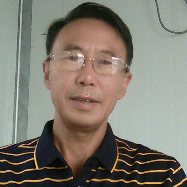 小海豚迎苗条的照片