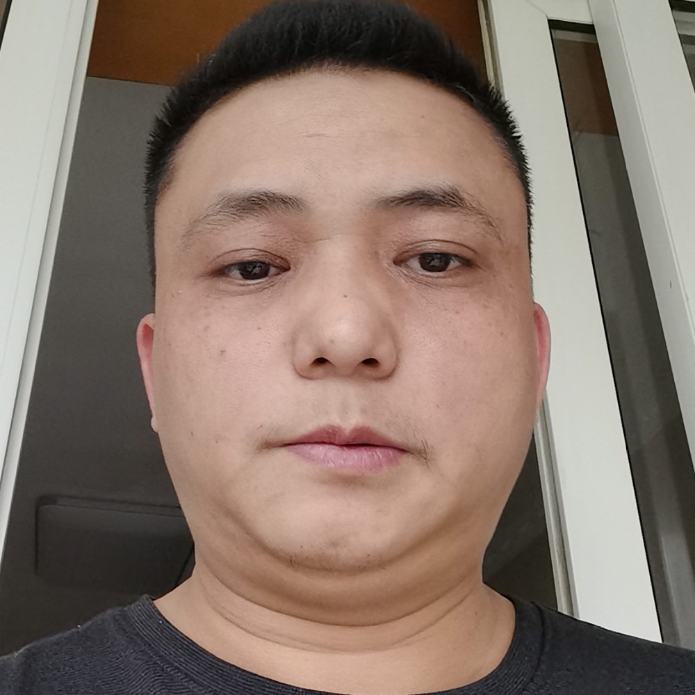 老鼠健壮的照片