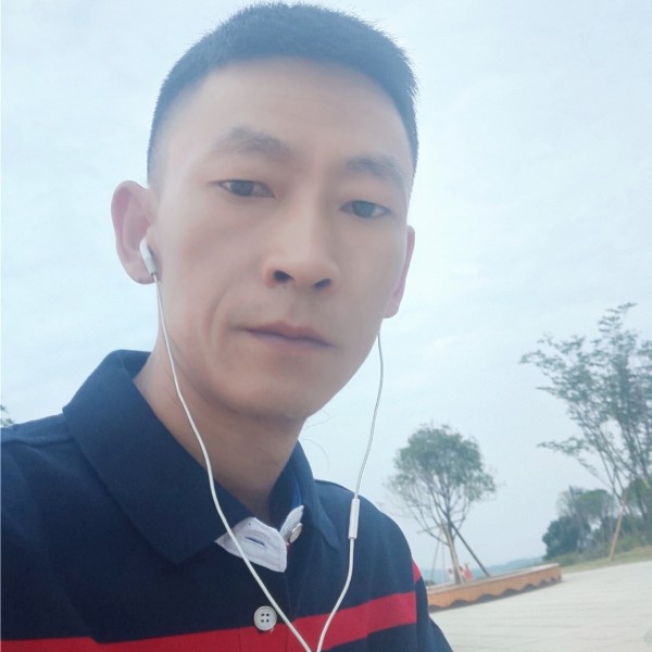 火龙果的坚定的照片