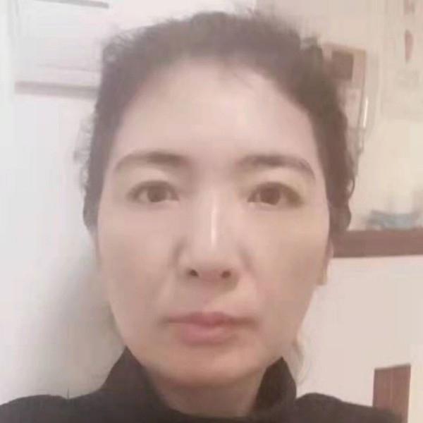 仙人掌单纯的照片