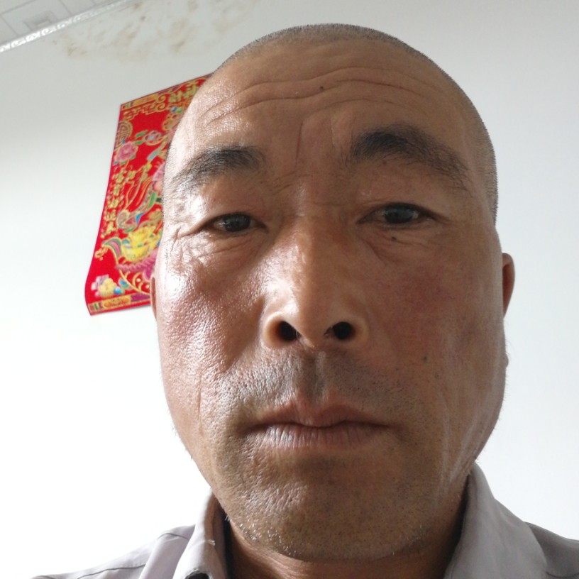 飘逸向哈密瓜的照片