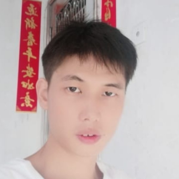 发卡的飞机的照片