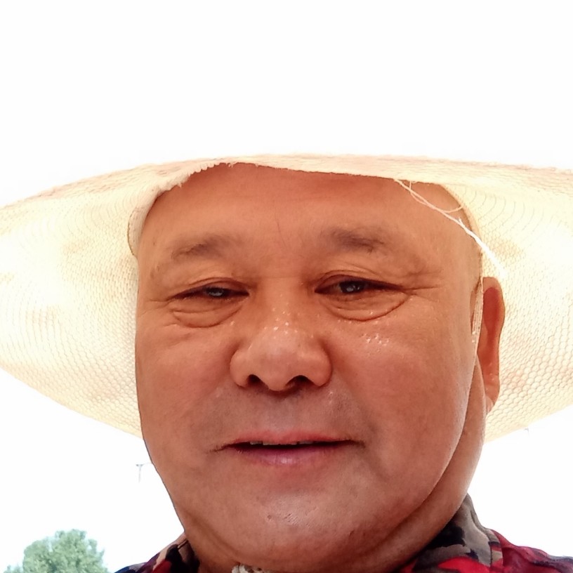 月光改变单纯的照片