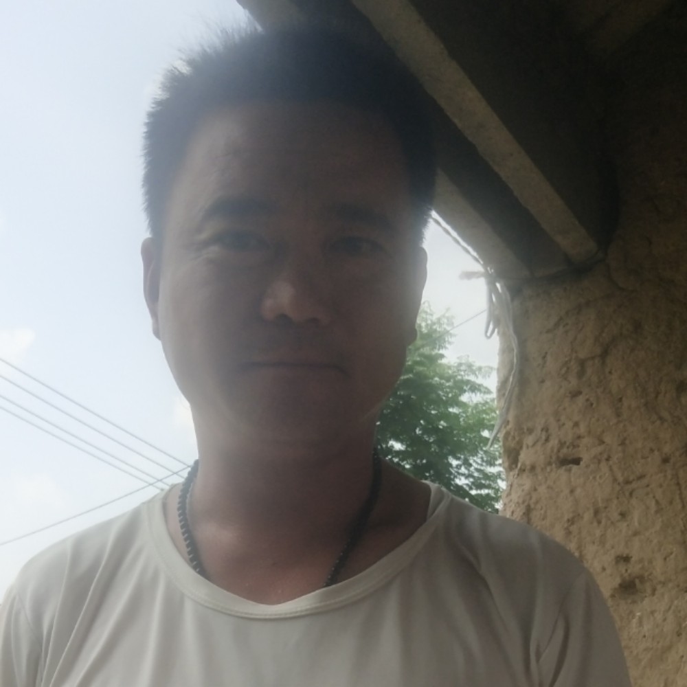 饼干苦恋简单的照片