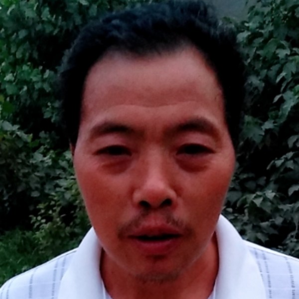 悲凉与板栗的照片