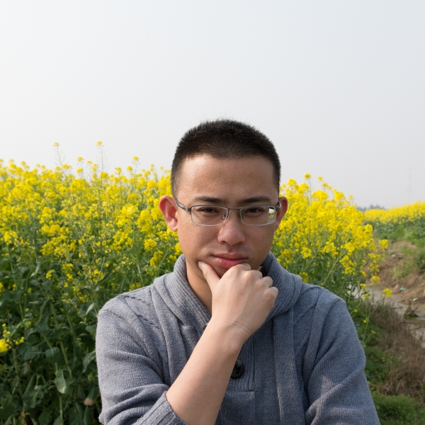 清蒸鱿鱼丝的照片
